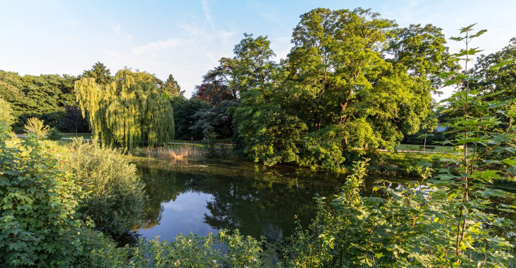 Immobilienbewertung Marktwertermittlung Dülmen